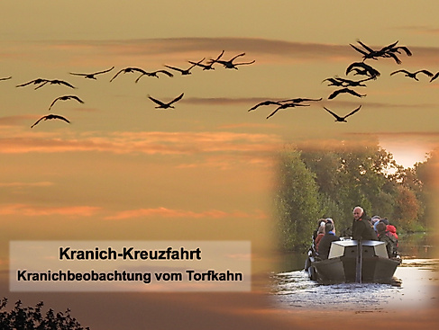 Kranich-Kreuzfahrt im Teufelsmoor