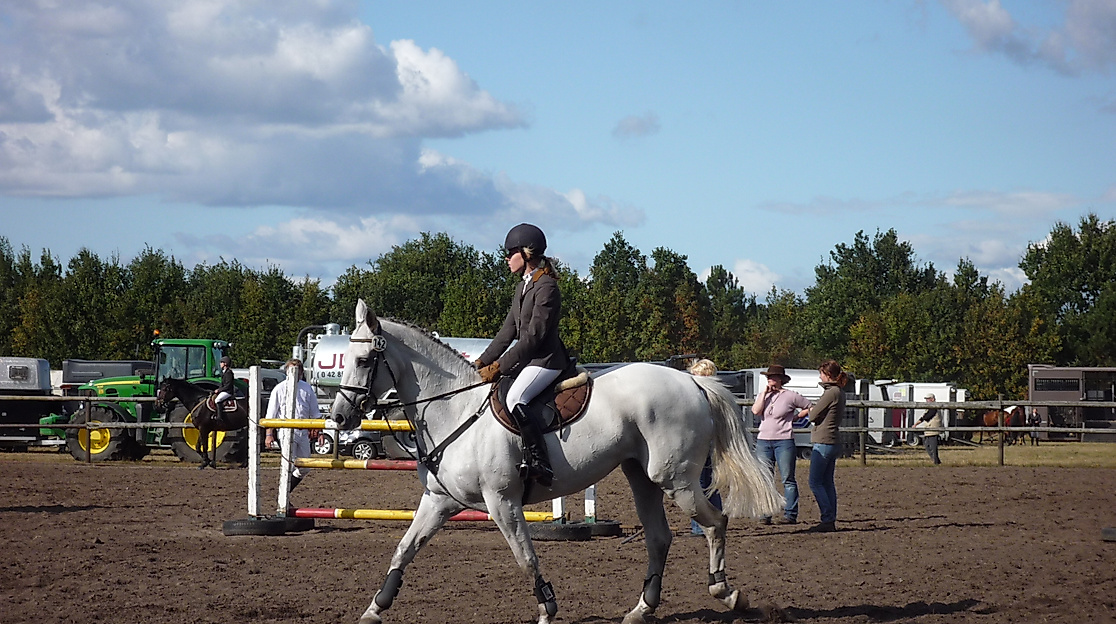 Reitturnier Tarmstedt