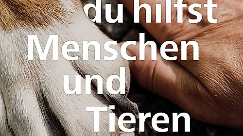 „Gott, du hilfst Menschen und Tieren" - Ökumenischer Gottesdienst zum Tag der Schöpfung 2025
