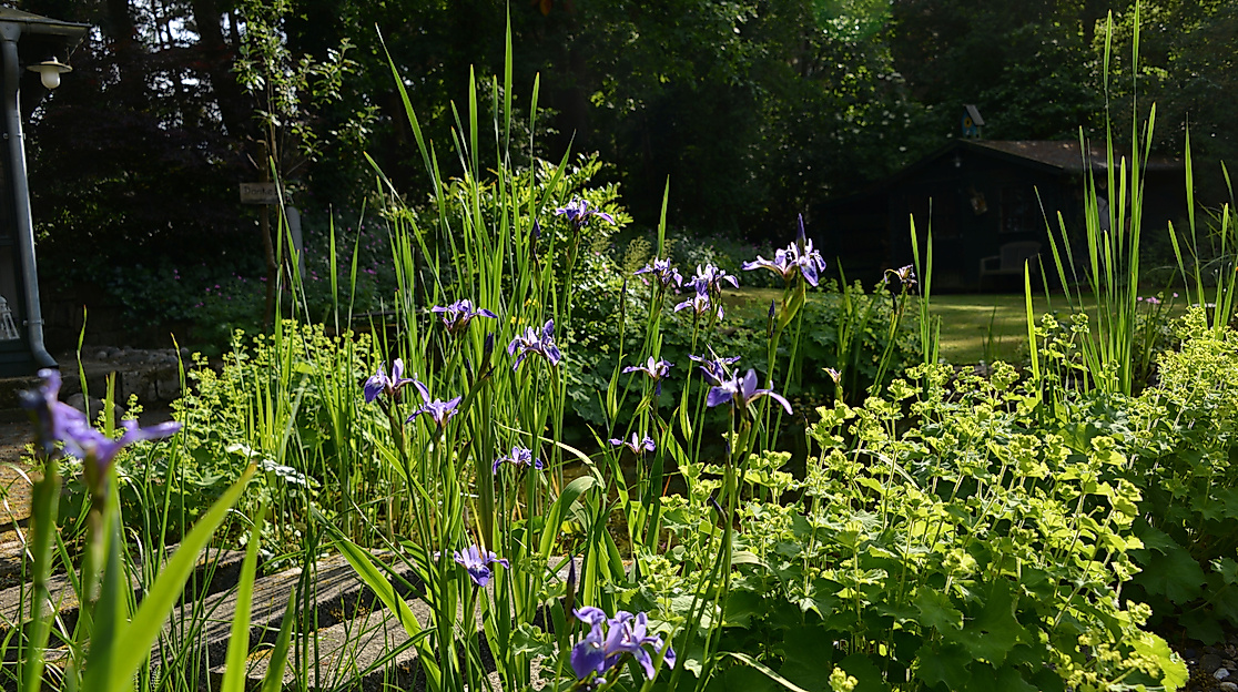 Gartenöffnung, Landschaftsgarten