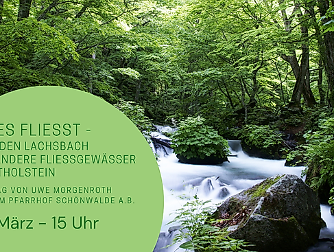 Alles fließt - Über den Lachsbach und andere Fließgewässer in Ostholstein