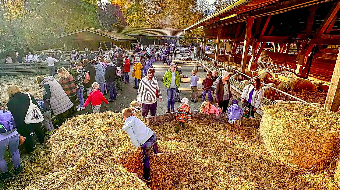 Hoffest im Herbst
