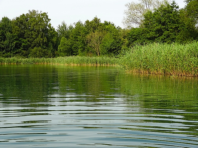 muessener_see_c-jan-mallander_pixabay_555829