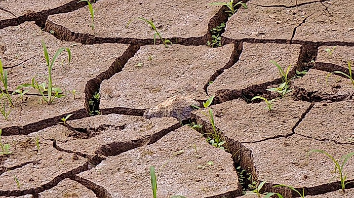 Klimawandel – eine unterschätzte Fluchtursache