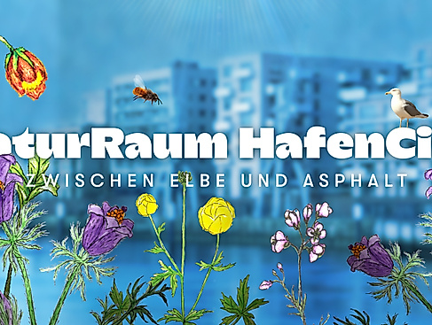 hafencity-endtitel-16zu9-kopie