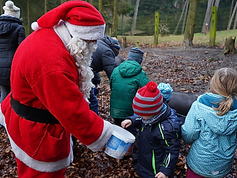 Der Weihnachtsmann und seine Helfer beim Füttern der Tiere im Wildpark Schwarze Berge