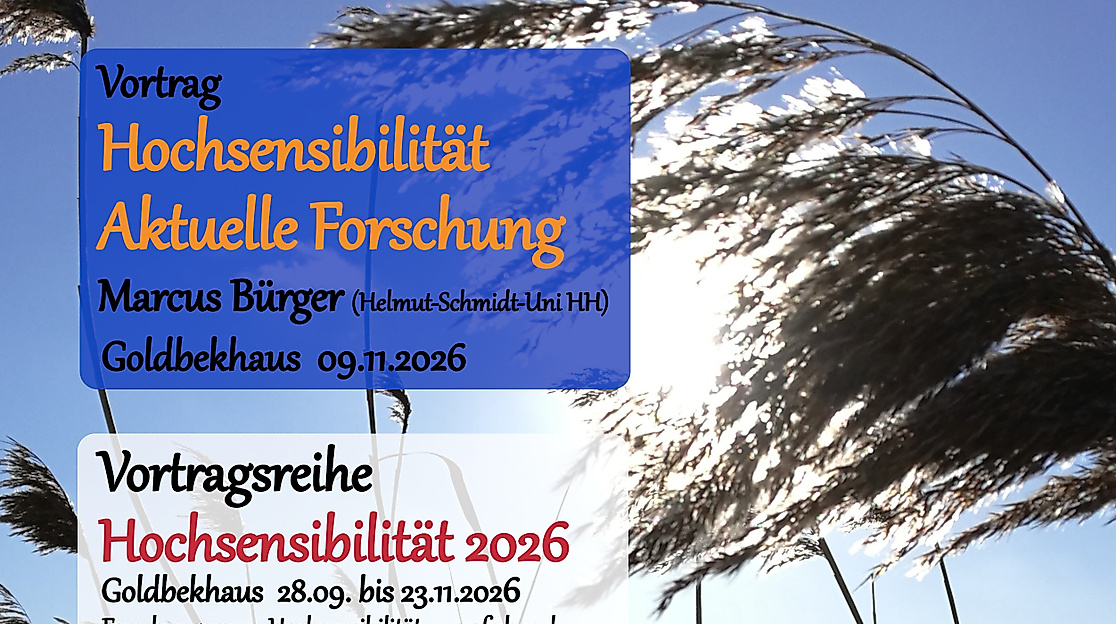 din-a-5-flyer-vr-hs-fuer-oea-wissen-04