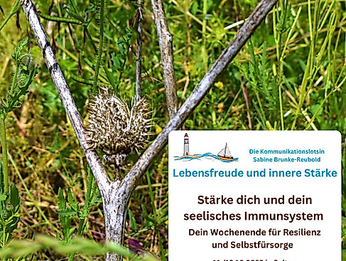 Resilienz-Wochenende Soltau Okt25