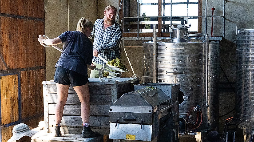 Luddite Wines