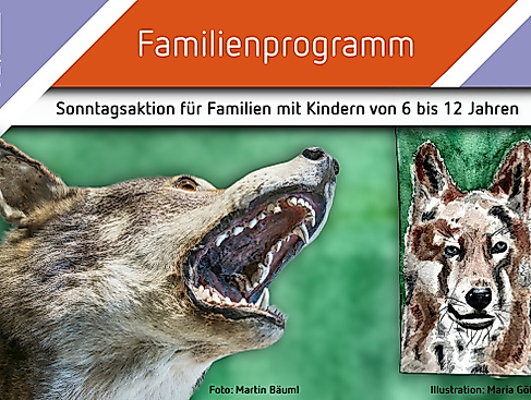 Familiensonntag Januar Wolf