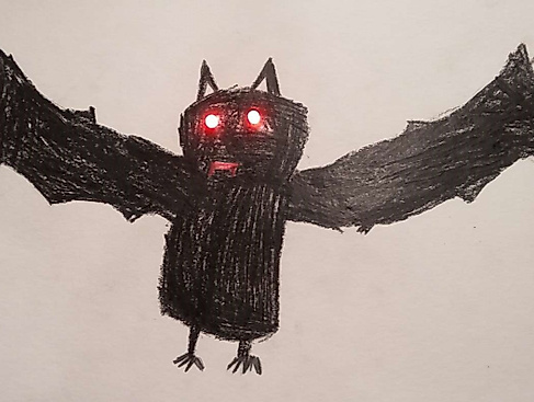 25-11-15 Fledermaus Barbara Kranz-Zwerger