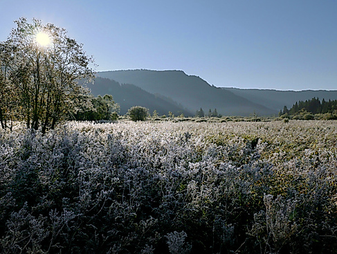 Geheimnisvolle Moorlandschaften