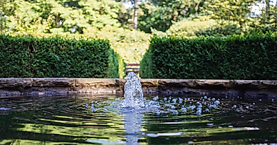 Wasser sprudelt aus einem Brunnenbecken, eingefasst von Hecken und Bäumen in einer ruhigen Parkanlage.