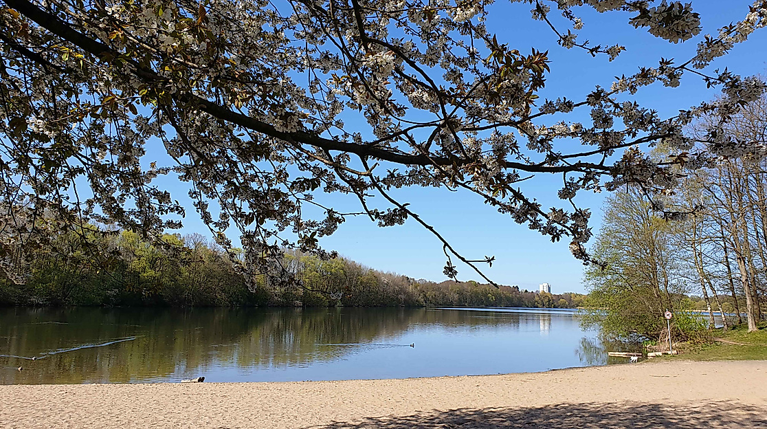 Ufer mit Sandstrand am Öjendorfer See