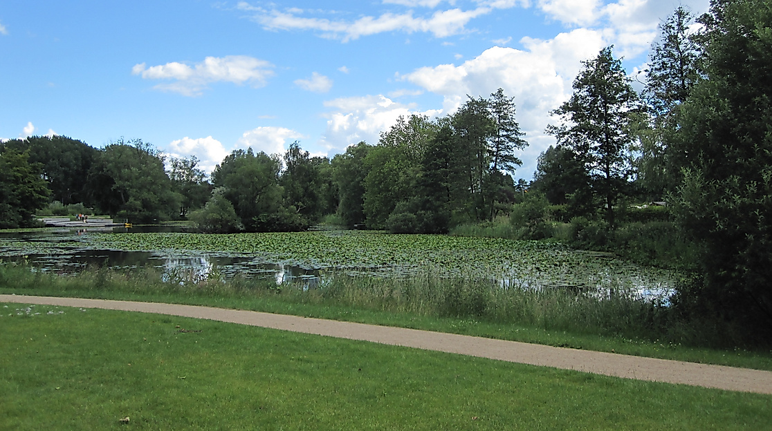 wilhelmsburger-inselpark_c-vera-mueller_04