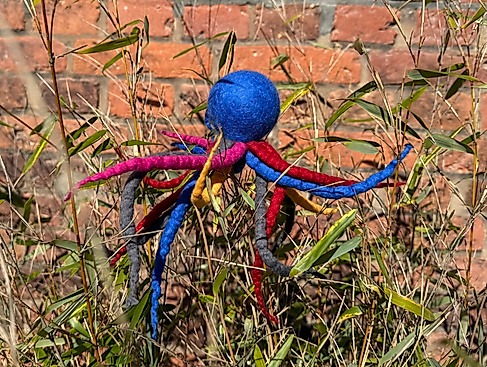 Oktopus