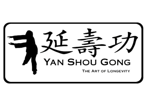 ysg-logo