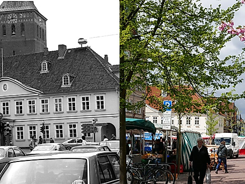 Schimmel Bild
