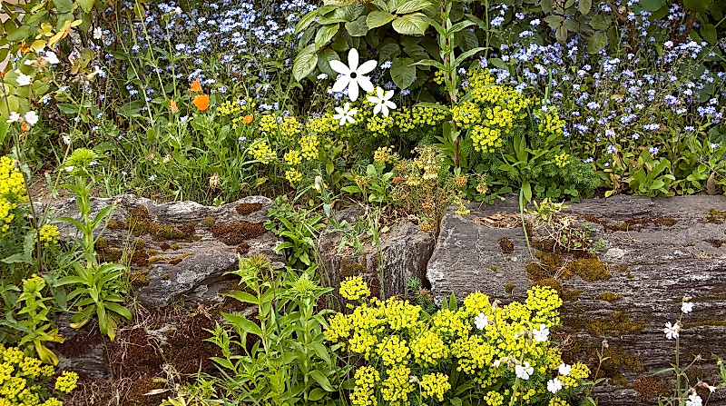 oekotipp-naturnahes-gaertnern