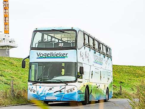 Vogelkieker November