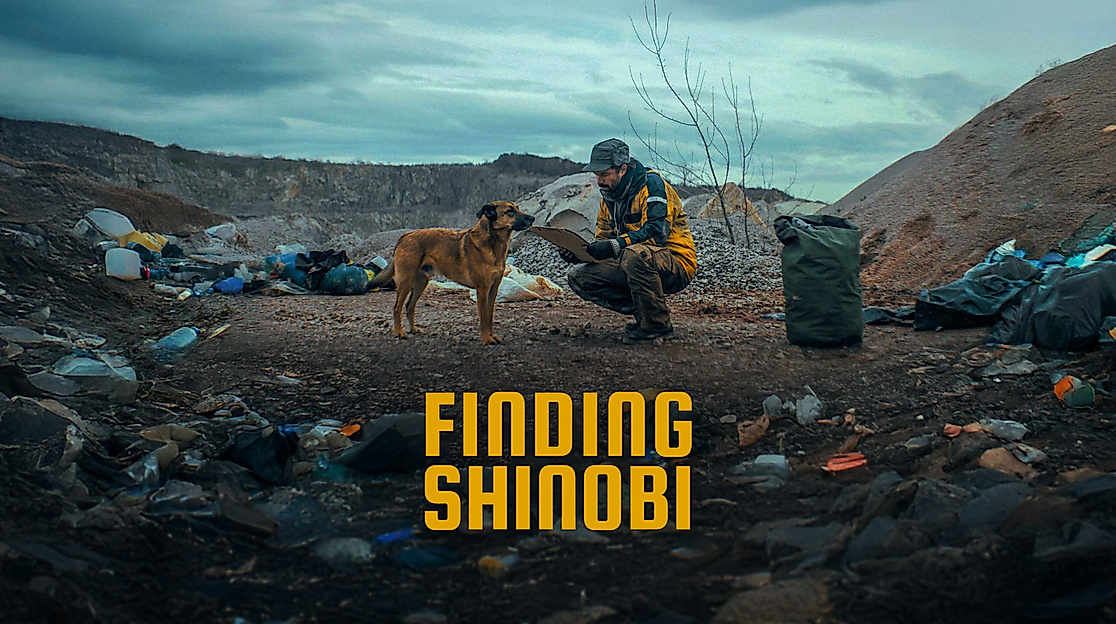 Finding-Shinobi1