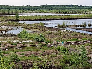 Himmelmoor und Quickborn