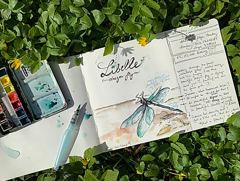 Nature Journaling