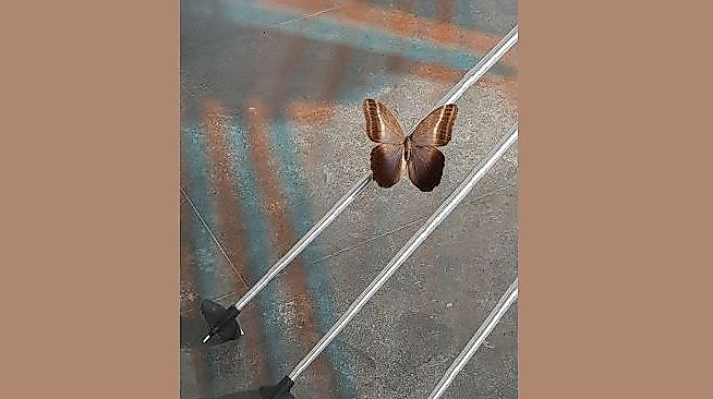 26-12-06 Saskia Senge Saskia Senge