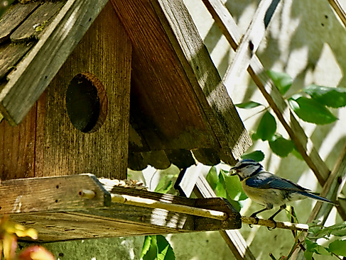 COGS-peter-burdon-unsplash