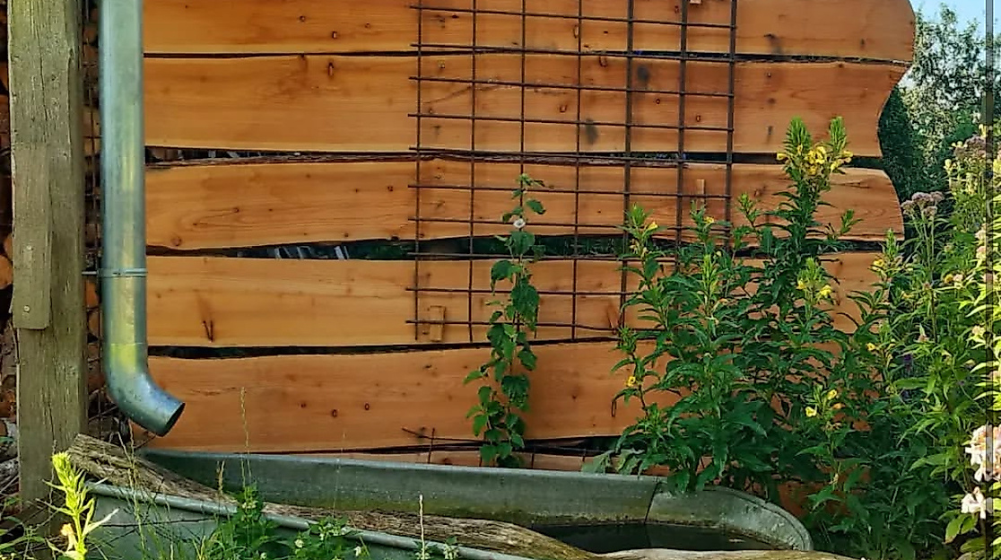 Naturgarten Wasser