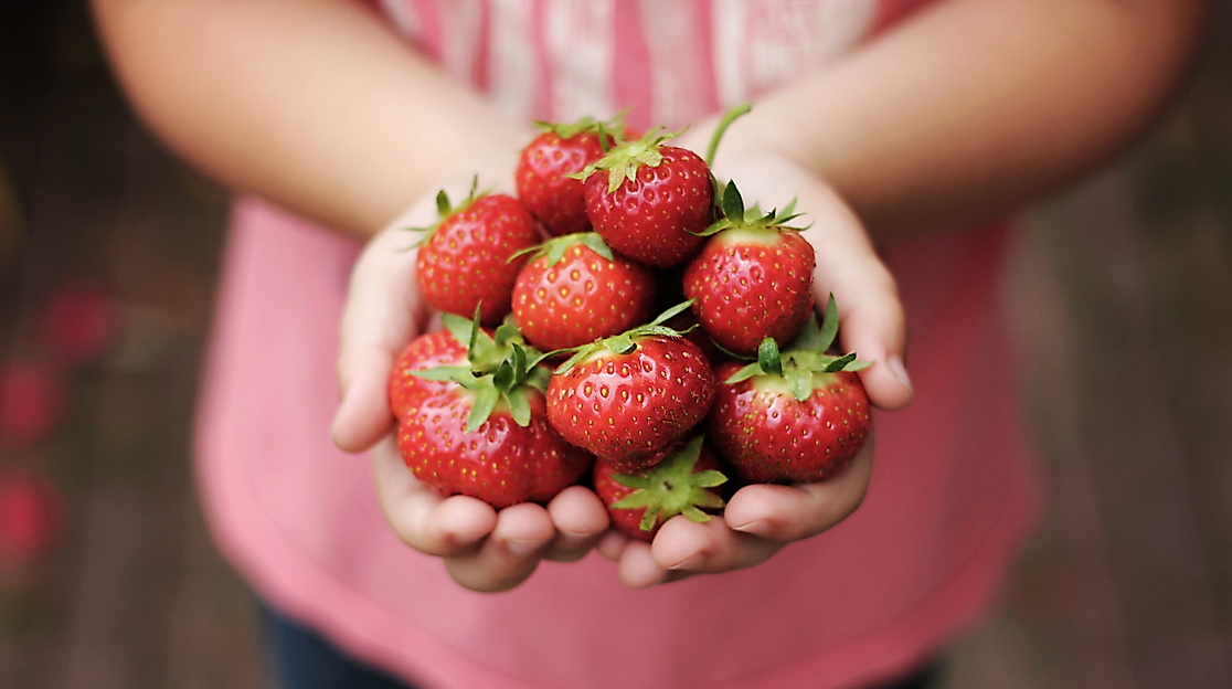 kind-haelt-erdbeeren-in-der-hand_c-skyla-design-arngdmnfujc-unsplash