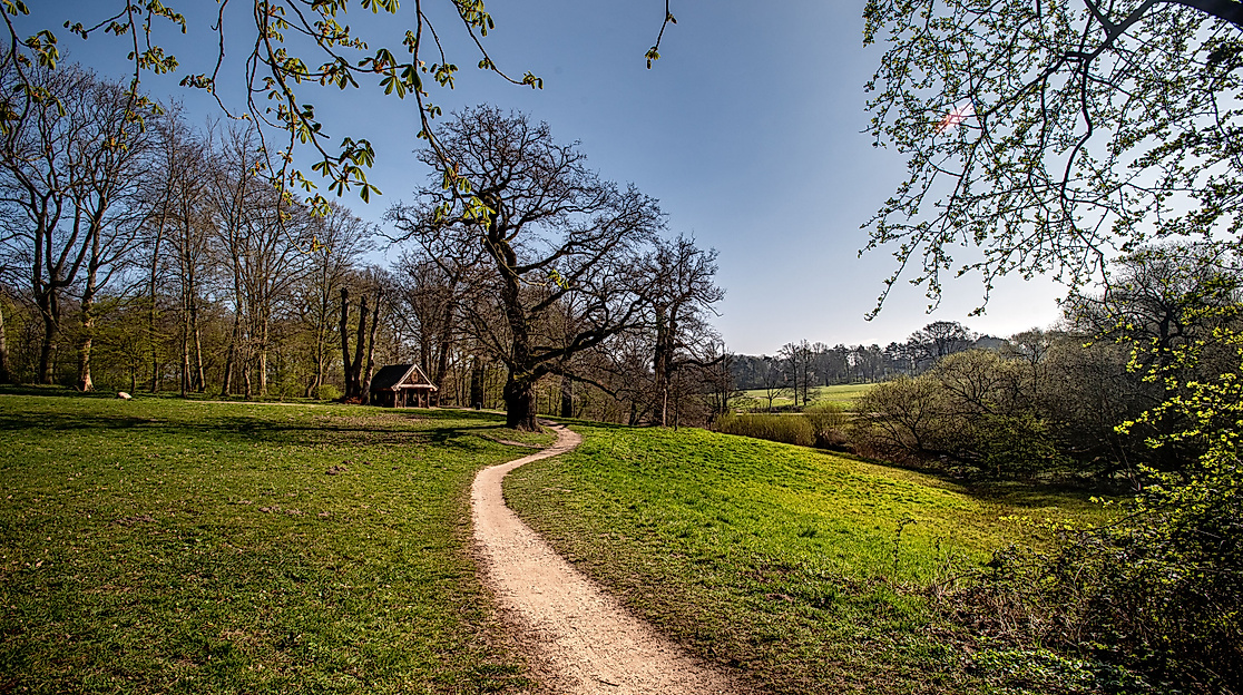 Jenisch Park Frühling