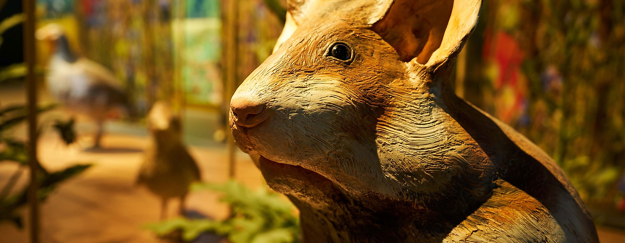 poi-botschaftderwildtiere_deutsch-weildtier-stiftung_00292_christian_brandes-web-2500x1500