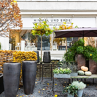 Herbstlich dekorierter Außenbereich des Blumengeschäfts Himmel und Erde in Hamburg mit Pflanzgefäßen und Gehölzen