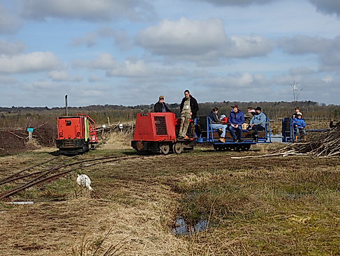 Torfbahn im Himmelmoor