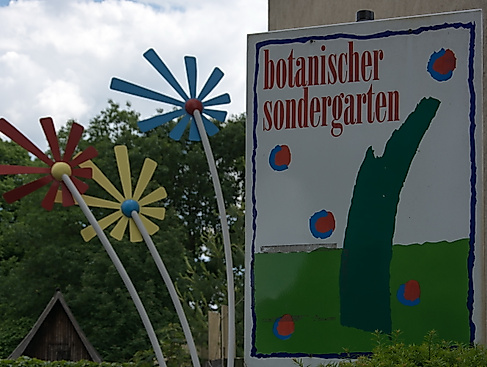 Logo Botanischer Sondergarten und IGA Blume