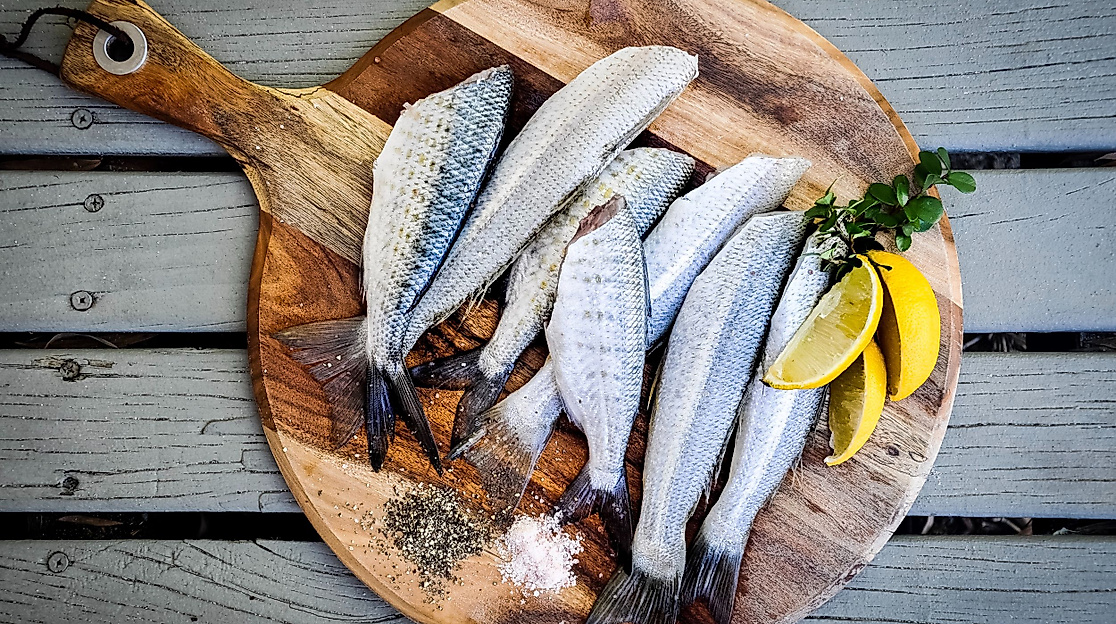 fischwerker-karsten-hagen-c-unsplash-jeremy-stewart