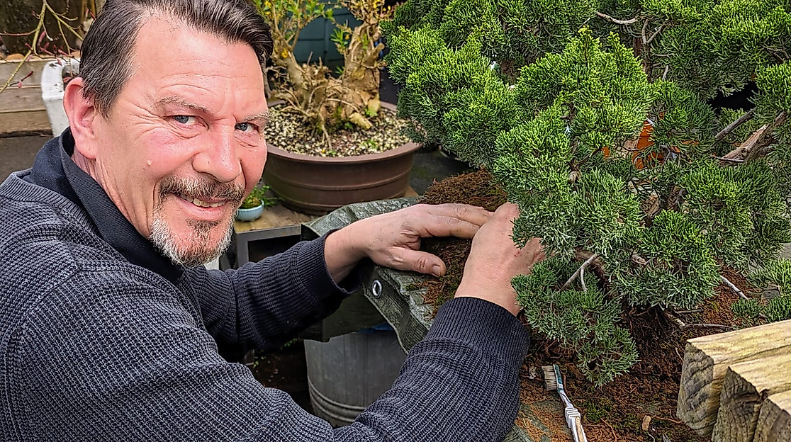 Sven Wagenknecht bei Bonsai-Arbeiten