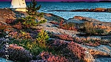 Mare Balticum - Rund um die Ostsee