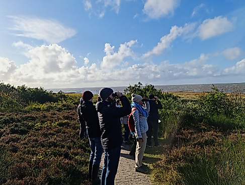 Vogelbeobachtung an der Sahlenburger Küste