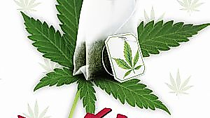 Grasgefluester_DVD_oFSK-1_webdetail_300