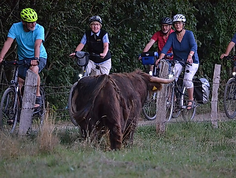 Neumünster per Rad entdecken Tour 1