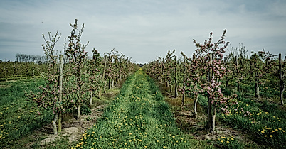 finkenwerder_hhlal_c-2017-geheimtipp-hamburg-4