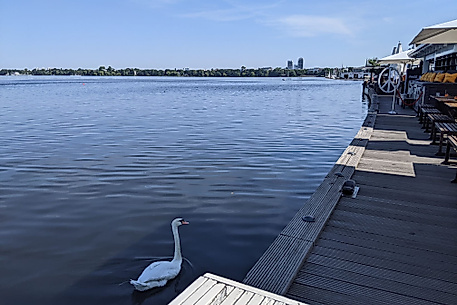 coco riviera-Blick ueber die Alster schweifen lassen