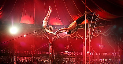 palazzo-c-palazzo-web-2-2500x1500