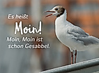 Norddeutsche Sprichwörter